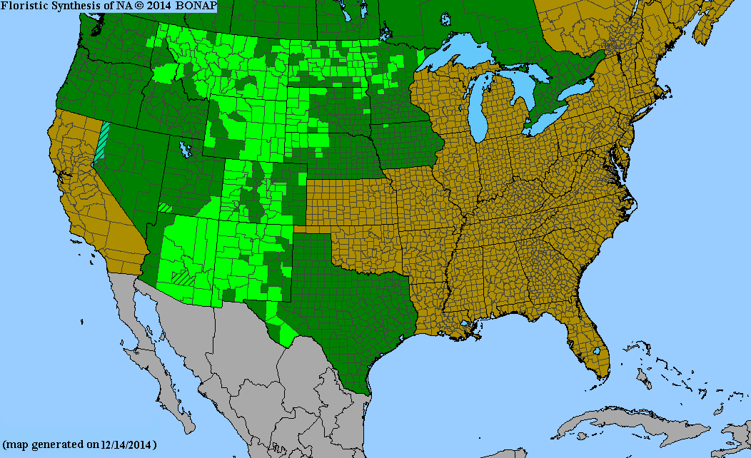 County distribution map of Monarda fistulosa ssp. fistulosa var. menthifolia - Oswego-Tea